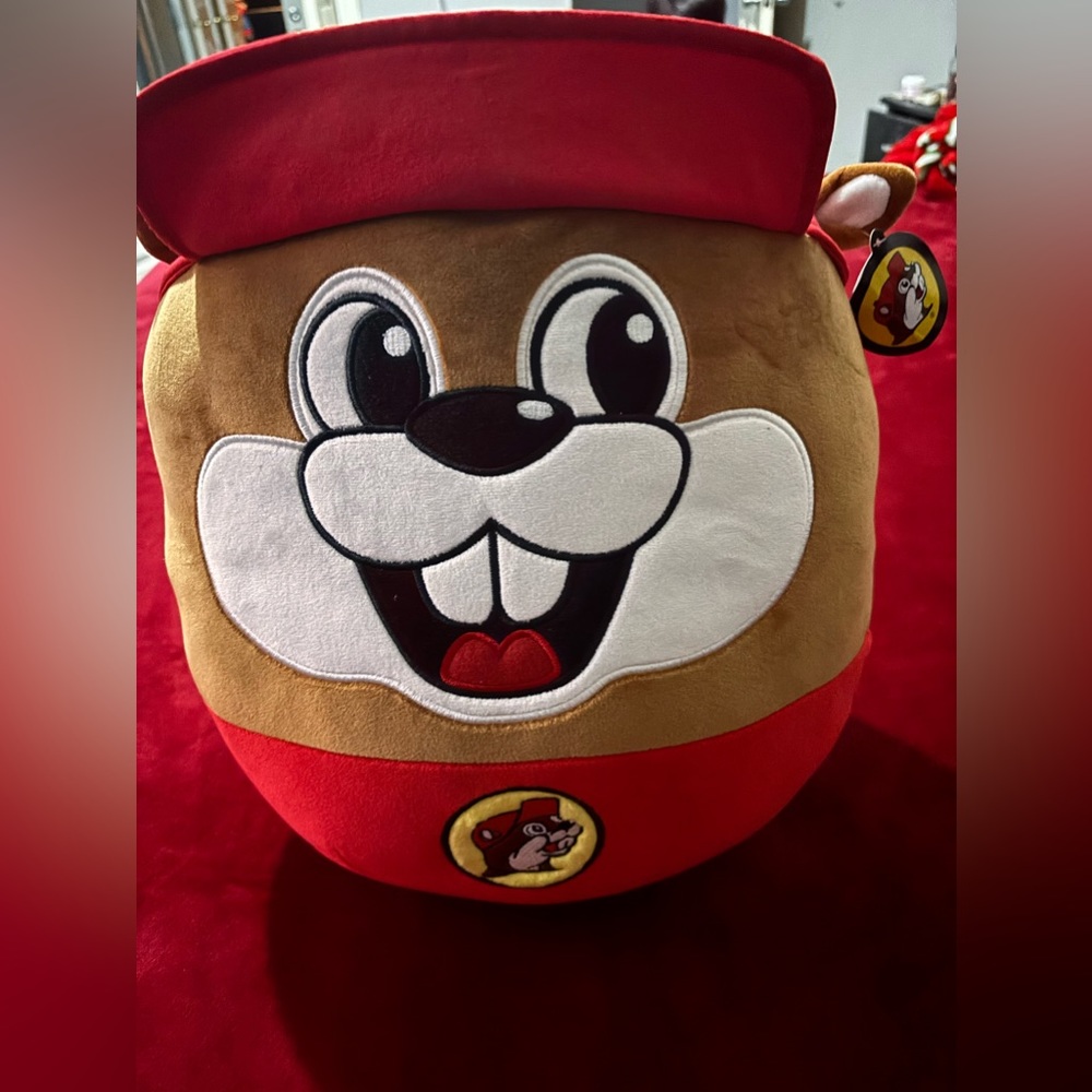 Buc-ee’s pillow